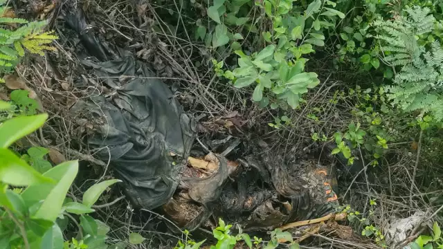 Localizan cuatro cuerpos en distintos puntos de Tulum