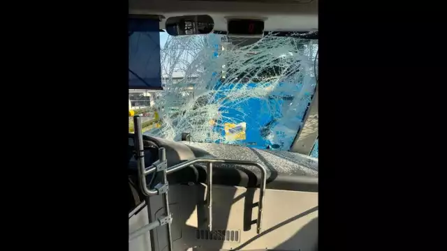 El STE informó que colaborará con las autoridades correspondientes para esclarecer los hechos