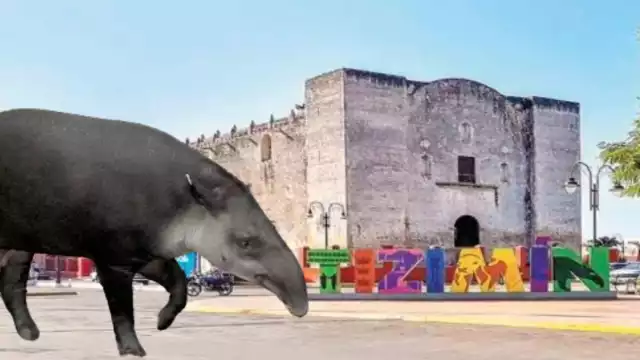 Tizimín se encuentra ubicado al Oriente de Yucatán