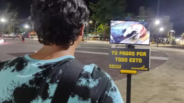 En la pantalla se transmitieron videos sobre el asesinato de animales