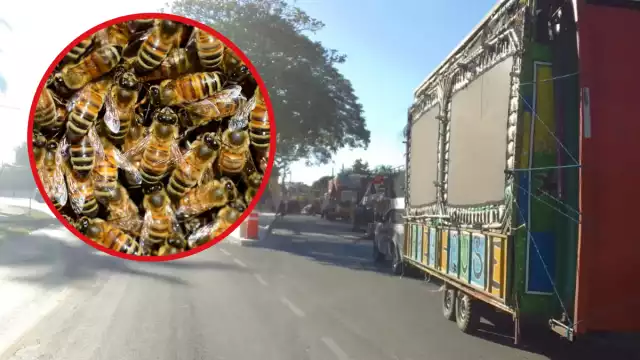 El incidente generó temor entre los pobladores del municipio