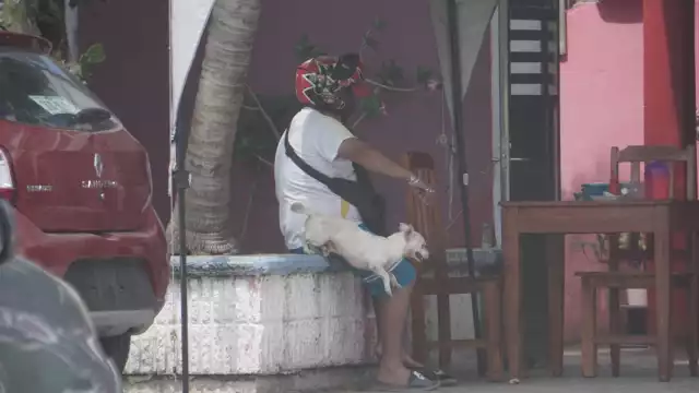 El primero municipio con más denuncias es Campeche, seguido de Carmen, Escárcega, Champotón y Calkiní