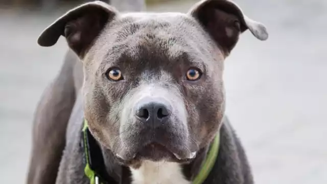 Los hechos ocurrieron en una casa de la colonia Tepeyac