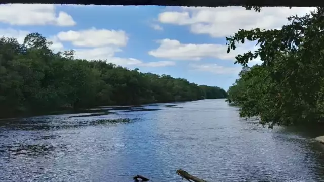 Incluso, los habitantes “protegen” a los involucrados cuando se realizan operativos