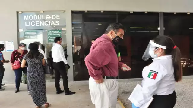 Se podrán solicitar licencias de conducir gratis en Yucatán