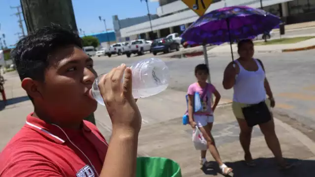 Este fenómeno terminará aproximadamente a mediados de agosto. Foto: Cuartoscuro
