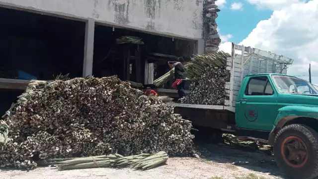 La llegada de las fibras de Brasil y África hicieron que la producción se desplome dejando pérdidas millonarias