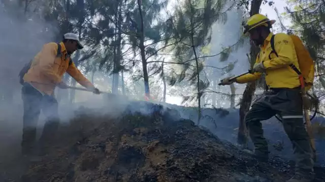 Palizada es el municipio de Campeche con más riesgo en incendios