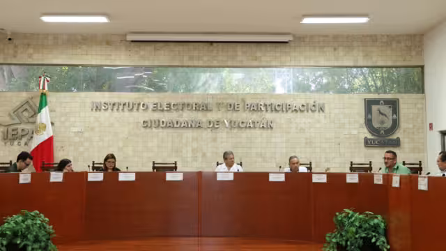 Corresponde a cada partido político la decisión de seleccionar la metodología para elegir a sus precandidatos