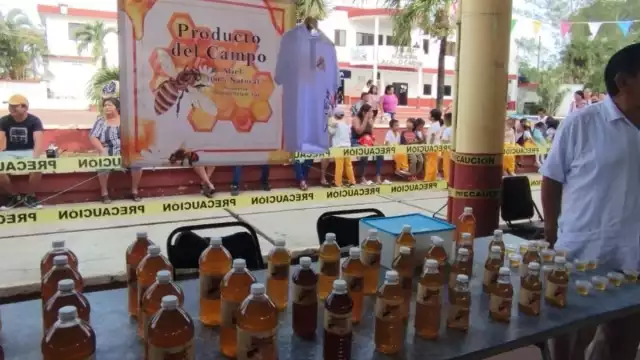 La tala inmoderada y los incendios forestales son factores que frenan la producción