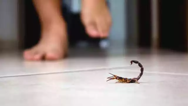 Se reportaron en total 51 casos en el 2022 por intoxicaciones causadas por plaguicida