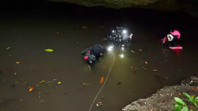 Centro de Investigación Científica de Yucatán realizó la investigación
