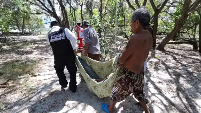 El suceso ocurrió cerca de las 13:00 horas, al final de la avenida Paseo del Mar