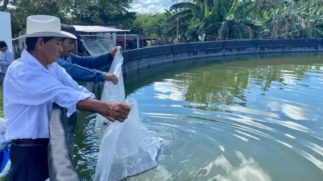 Apicultores son reconocidos mediante apoyo