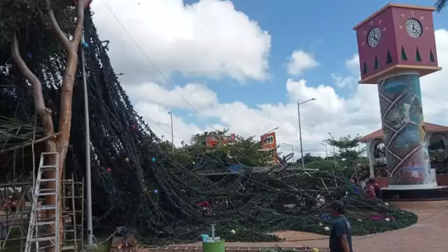 Según testigos, poco antes del mediodía empezó a soplar un viento fuerte en la zona del parque