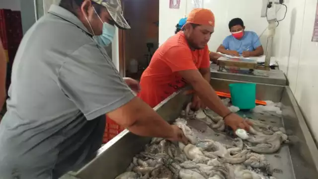 Dijo que las zonas costeras se deben mantener más limpias y en óptimas condiciones