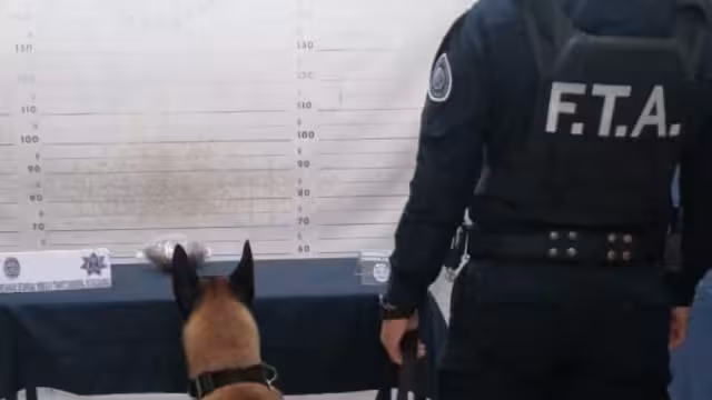 El paquete fue entregado a la Fiscalía de Quintana Roo