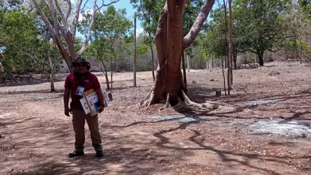 A un mes de la devastación del Rancho Uxmal, el expediente judicial avanza, pero no hay responsable