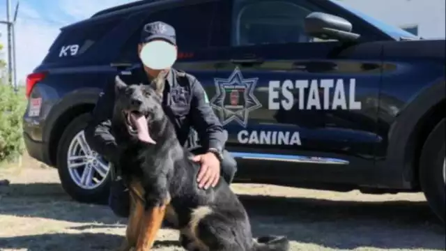 La perrita fue un regalo de Miami a la policía de Aguascalientes