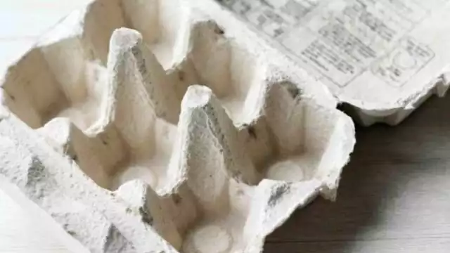 No es ideal quemar cartón de huevo para ahuyentar mosquitos