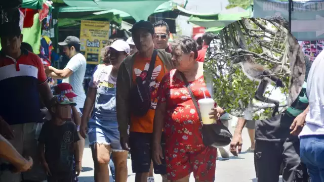 Usuarios han denunciado la venta de animales exóticos a través de redes sociales