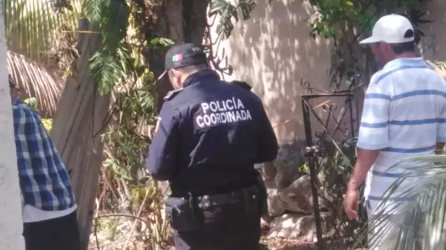 El perro estuvo en riesgo de morir ahorcado con su cadena