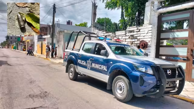 Las detonaciones se escuchan durante las madrugadas.