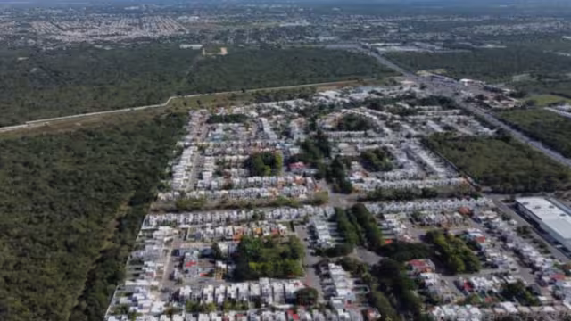 En 10 años, Mérida perdió cerca de mil hectáreas