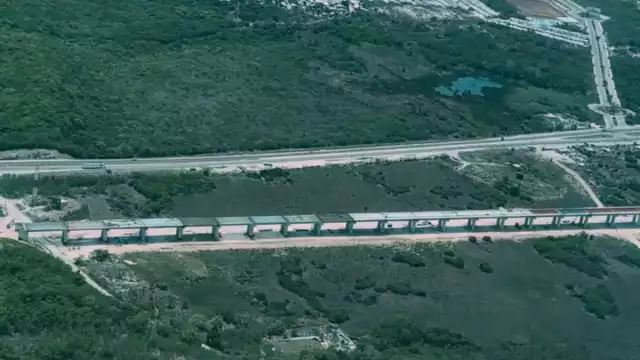 El Tren Maya preservará la seguridad de las especies de la zona Sureste