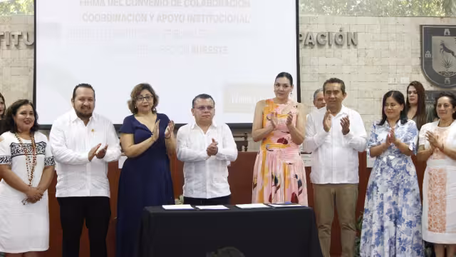 En las elecciones 2024  estarán en disputa 835 cargos públicos