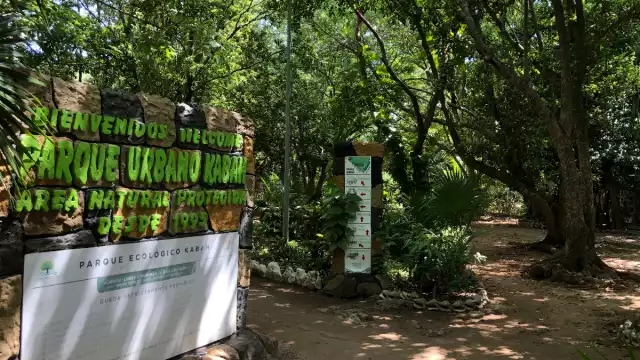 La reserva de Sian Ka´an es una de las de mayor extensión, así como Xcalak.