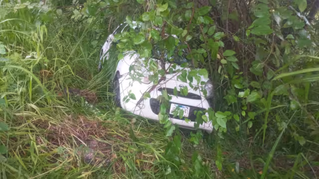 Pese a lo aparatoso del accidente no se reportan lesionados