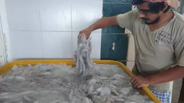 A partir del primero de agosto, más de dos mil embarcaciones saldrán a la captura