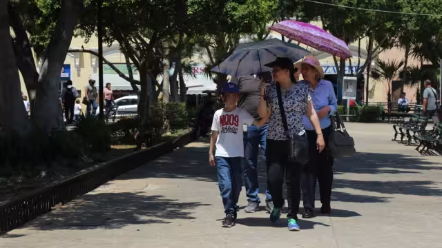 Se recomienda a la población tomar precauciones ante la ola de calor