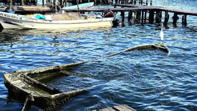 Cooperativas buscan apoyo extraordinario ante desplome de la pesca