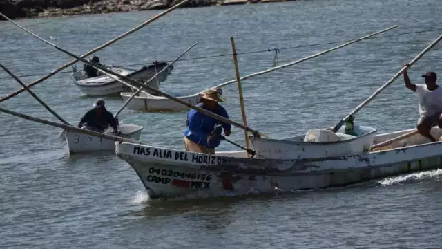 Fiscalía General del Estado (FGE) se hará cargo de las sanciones para los pescadores