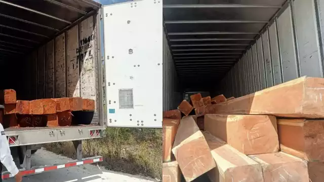 En los tráileres se encontraban aproximadamente 52 especies de maderas preciosas