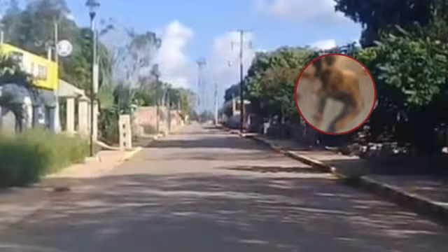 Sucedió una riña entre vándalos