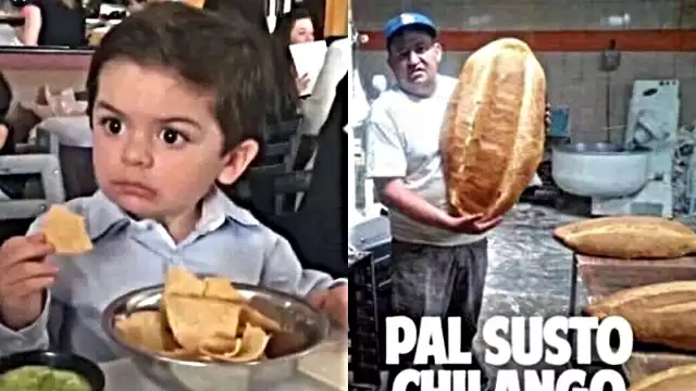 Los internautas decidieron tomar con humar la alerta sísmica. Foto: Especial