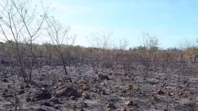 Los incendios en Bacalar presentan un 80% de control