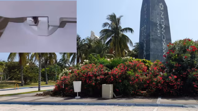 La usuaria de la red social, quien pagó 10 mil pesos la noche, expresó su descontento por la falta de higiene. El hotel podría ser sancionado por la Cofepris