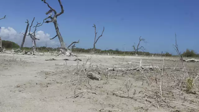 La aridez en Yucatán disminuyó en más de un 5 por ciento tras el registro de lluvias que están arriba del promedio