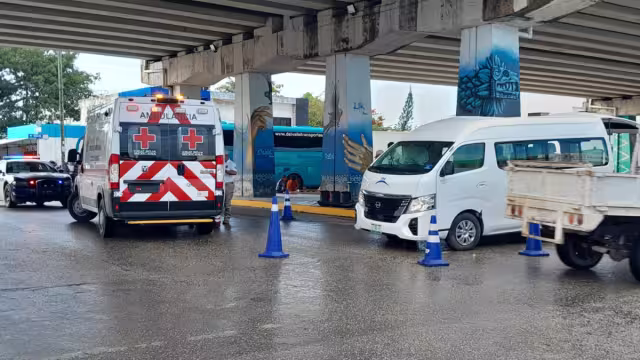 Por el golpe, la van de turismo derribó un semáforo