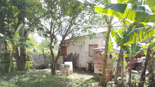 Los responsables entraron por la parte de atrás de la casa cuando la familia salio del lugar