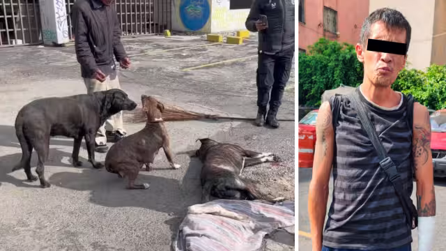 El asesino del perrito fue detenido momentos después del ataque
