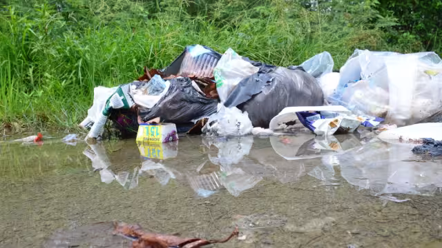 El 80 por ciento de los casos se extinguen con la eliminación de los criaderos