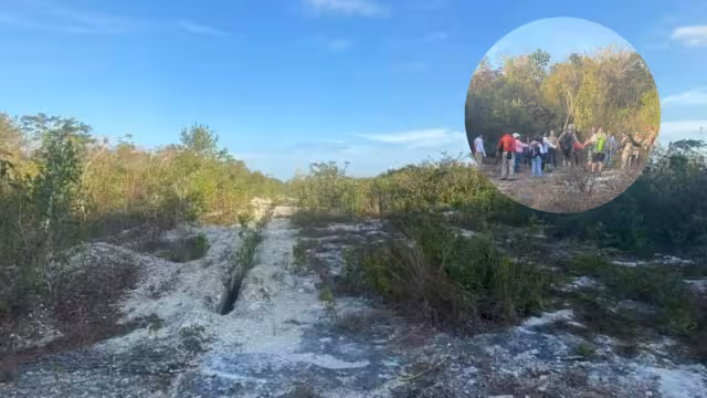 La búsqueda se concentrará en el área de las colonias del Centro de la Isla de las Golondrinas