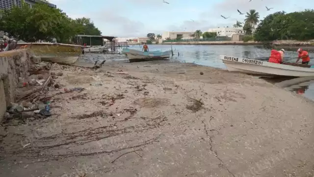 Sociedad Cooperativa “Escameros del Golfo” exige respuesta a autoridades