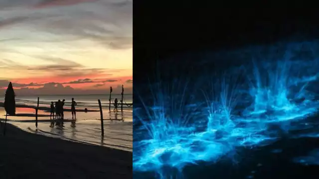 Ofrecen los recorridos para apreciar este fenómeno natural en poco más de mil pesos por persona, quienes pueden recorrer las playas en kayak.