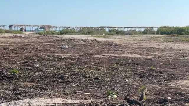 Desoyen las medidas de la Profepa, pues ya se lotificaron zonas de la playa y se quemó maleza